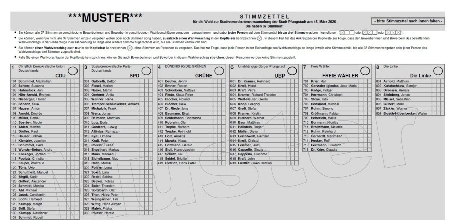 FDP Pfungstadt