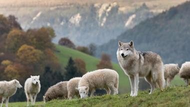 FDP Darmstadt-Dieburg Demokratiefördergesetz